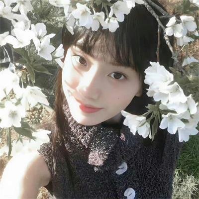 荒野真情