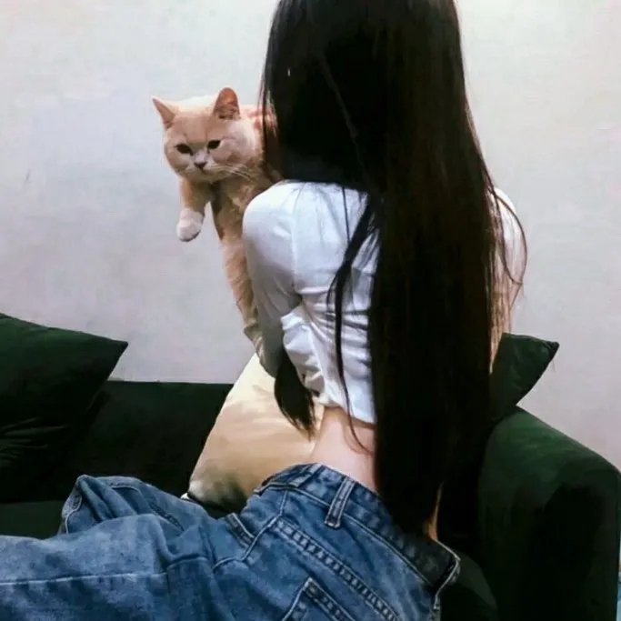 焕羽