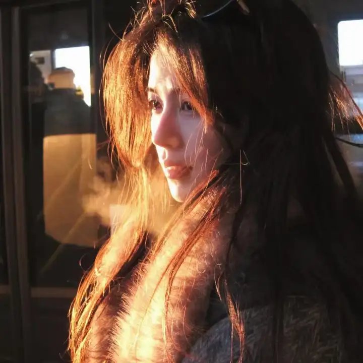 基督山之子